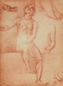 Estudio de una figura desnuda y extremidades humanas, dibujo de Andrea del Sarto. Gabinetto dei Disegni e delle Stampe, Galería Uffizi, Florencia